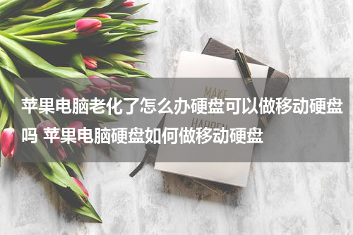 苹果电脑老化了怎么办硬盘可以做移动硬盘吗 苹果电脑硬盘如何做移动硬盘