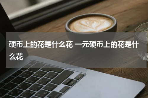 硬币上的花是什么花 一元硬币上的花是什么花