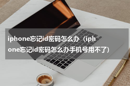 iphone忘记id密码怎么办（iphone忘记id密码怎么办手机号用不了）