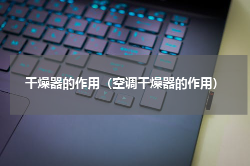 干燥器的作用(空调干燥器的作用)