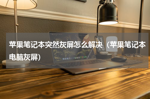 苹果笔记本突然灰屏怎么解决（苹果笔记本电脑灰屏）