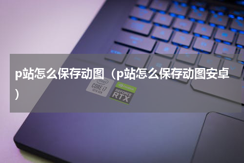 p站怎么保存动图（p站怎么保存动图安卓）