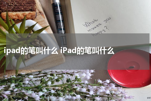 ipad的笔叫什么 iPad的笔叫什么