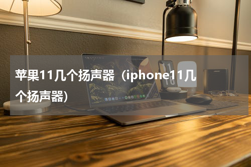 苹果11几个扬声器（iphone11几个扬声器）
