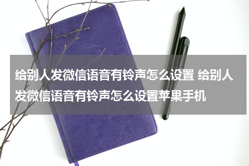 给别人发微信语音有铃声怎么设置 给别人发微信语音有铃声怎么设置苹果手机