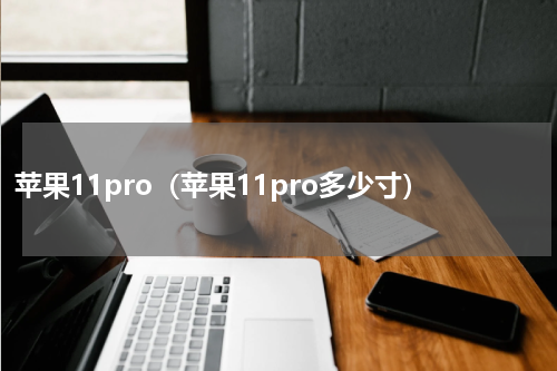 苹果11pro（苹果11pro多少寸）