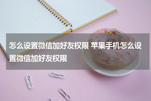 怎么设置微信加好友权限 苹果手机怎么设置微信加好友权限