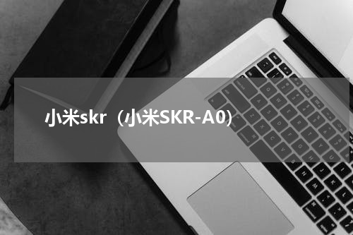 小米skr（小米SKR-A0）