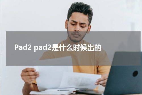 Pad2 pad2是什么时候出的