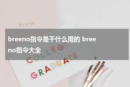 breeno指令是干什么用的 breeno指令大全