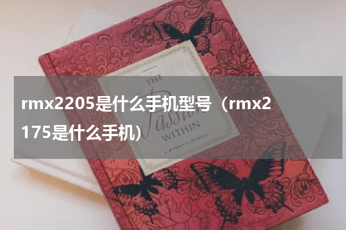 rmx2205是什么手机型号（rmx2175是什么手机）