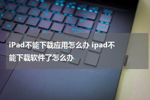 iPad不能下载应用怎么办 ipad不能下载软件了怎么办