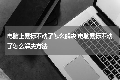 电脑上鼠标不动了怎么解决 电脑鼠标不动了怎么解决方法