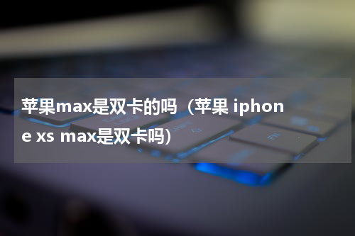 苹果max是双卡的吗（苹果 iphone xs max是双卡吗）