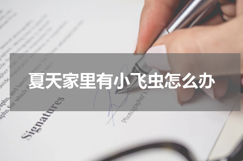 夏天家里有小飞虫怎么办