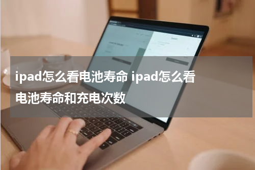 ipad怎么看电池寿命 ipad怎么看电池寿命和充电次数