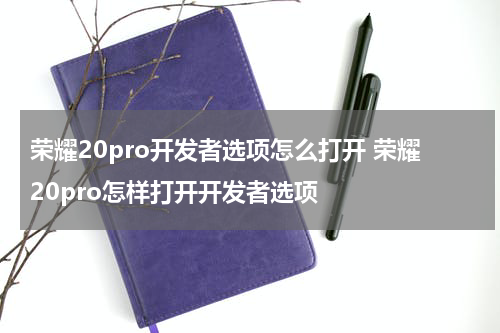 荣耀20pro开发者选项怎么打开 荣耀20pro怎样打开开发者选项