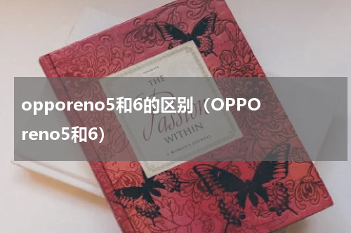 opporeno5和6的区别（OPPOreno5和6）