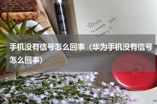 手机没有信号怎么回事(华为手机没有信号怎么回事)