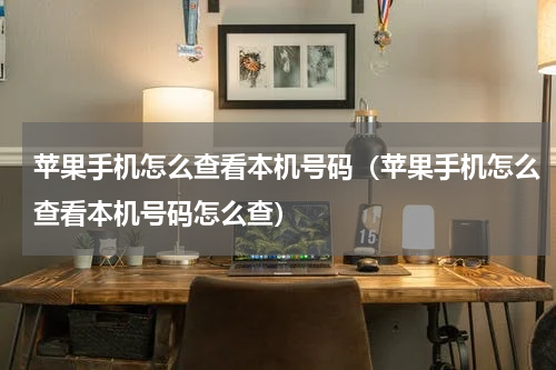 苹果手机怎么查看本机号码（苹果手机怎么查看本机号码怎么查）