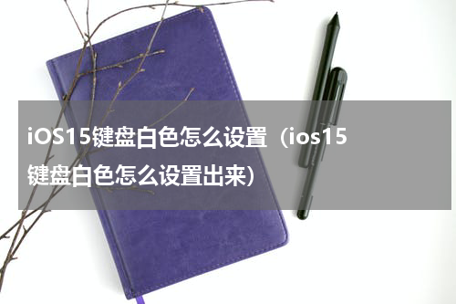 iOS15键盘白色怎么设置（ios15键盘白色怎么设置出来）