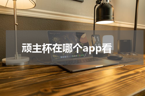 顽主杯在哪个app看