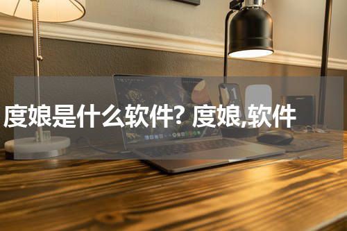 度娘是什么软件? 度娘,软件