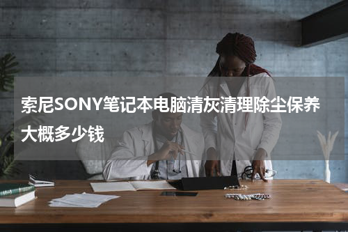 索尼SONY笔记本电脑清灰清理除尘保养大概多少钱
