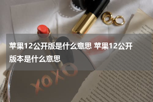 苹果12公开版是什么意思 苹果12公开版本是什么意思