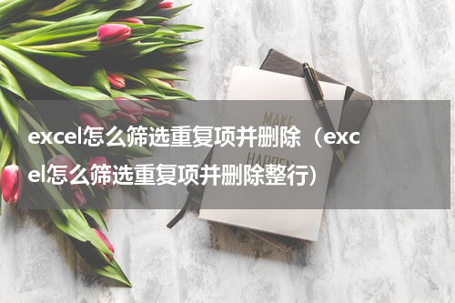 excel怎么筛选重复项并删除（excel怎么筛选重复项并删除整行）
