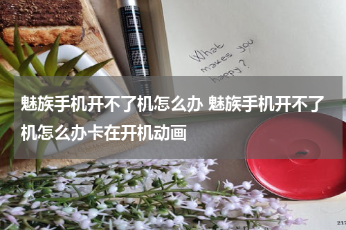 魅族手机开不了机怎么办 魅族手机开不了机怎么办卡在开机动画