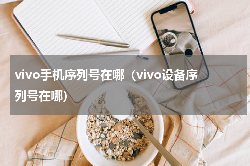 vivo手机序列号在哪（vivo设备序列号在哪）