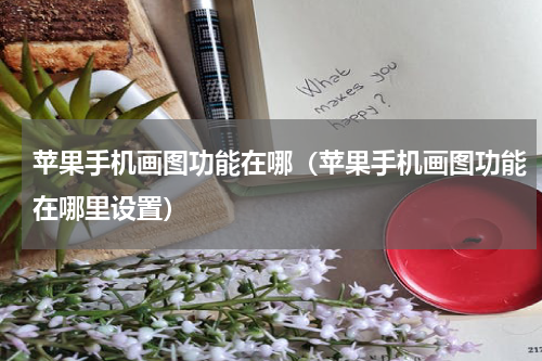 苹果手机画图功能在哪(苹果手机画图功能在哪里设置)