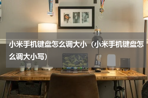小米手机键盘怎么调大小（小米手机键盘怎么调大小写）