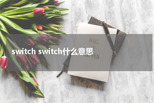 switch switch什么意思