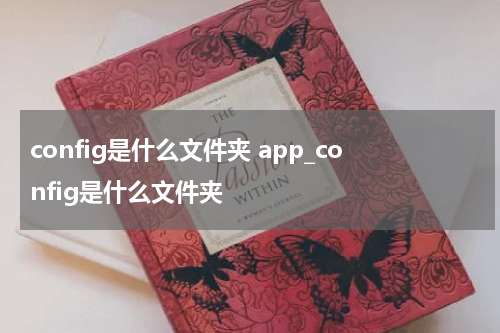 config是什么文件夹 app_config是什么文件夹