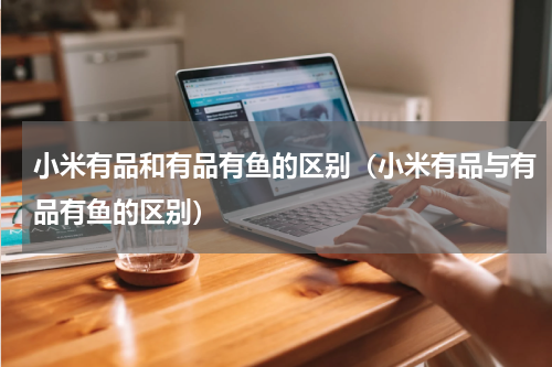 小米有品和有品有鱼的区别（小米有品与有品有鱼的区别）