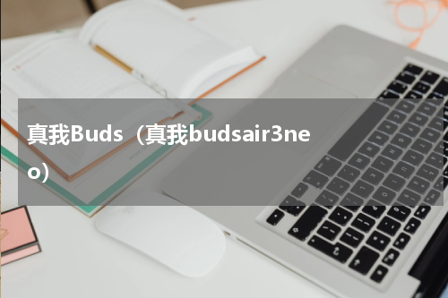 真我Buds(真我budsair3neo)