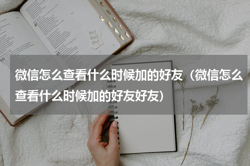 微信怎么查看什么时候加的好友（微信怎么查看什么时候加的好友好友）