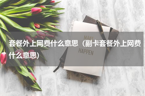 套餐外上网费什么意思(副卡套餐外上网费什么意思)