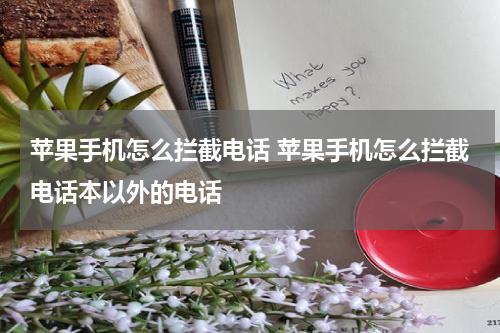 苹果手机怎么拦截电话 苹果手机怎么拦截电话本以外的电话