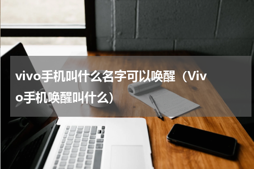vivo手机叫什么名字可以唤醒（Vivo手机唤醒叫什么）