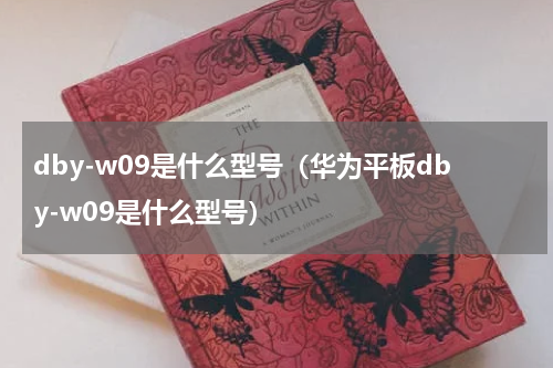 dby-w09是什么型号（华为平板dby-w09是什么型号）