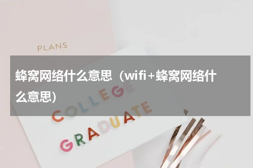 蜂窝网络什么意思（wifi+蜂窝网络什么意思）