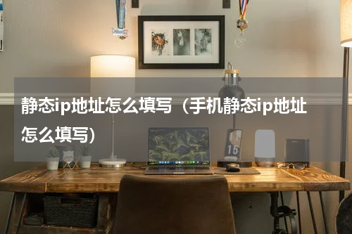 静态ip地址怎么填写(手机静态ip地址怎么填写)
