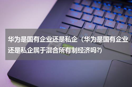 华为是国有企业还是私企（华为是国有企业还是私企属于混合所有制经济吗?）