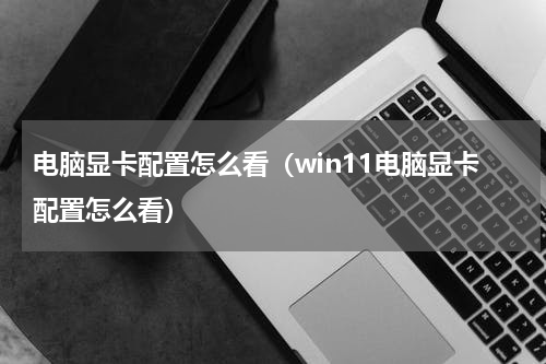 电脑显卡配置怎么看（win11电脑显卡配置怎么看）