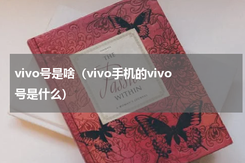 vivo号是啥(vivo手机的vivo号是什么)