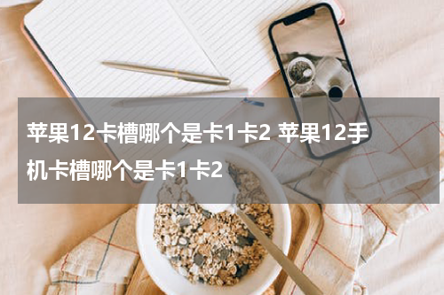 苹果12卡槽哪个是卡1卡2 苹果12手机卡槽哪个是卡1卡2