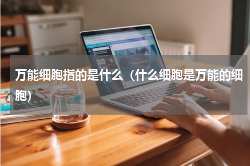 万能细胞指的是什么（什么细胞是万能的细胞）